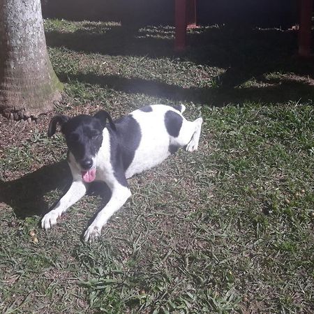 Sitio E Pousada Recanto Dos Ipes Teresópolis Eksteriør billede