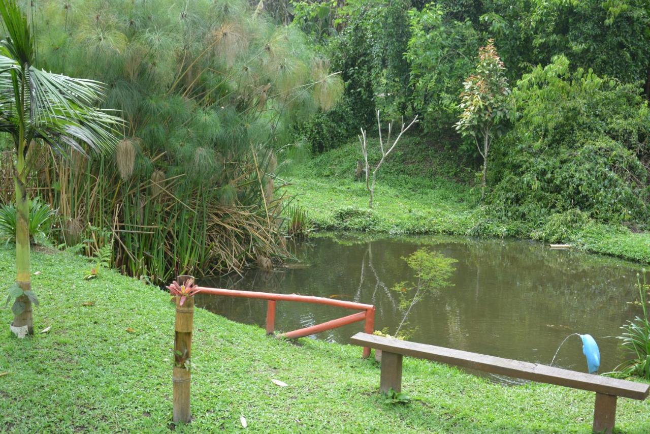 Sitio E Pousada Recanto Dos Ipes Teresópolis Eksteriør billede